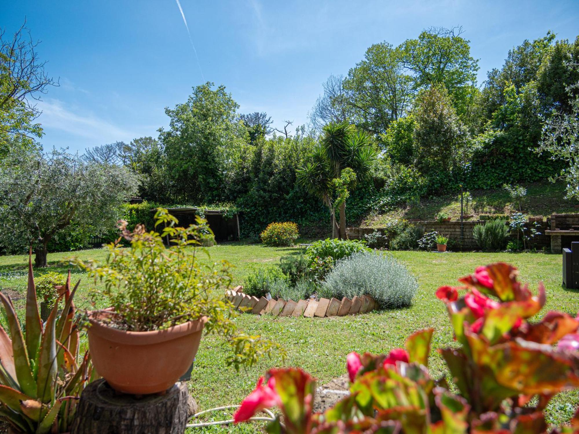Il Lago Bracciano  Bagian luar foto
